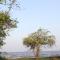 Rimlay Park Resort