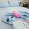 Apartment Cace