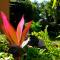 Santa Lucia Guest House