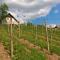 Vineyard Cottage Lustek - Novo Mesto