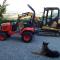 Azienda Agraria La Casella