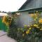 Dos Guesthouse