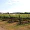 AGRITURISMO CAMATTEI