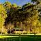 Diamond Forest Farm Stay
