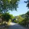 Pinearoma Pension