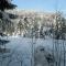 Chalet Mauselaine