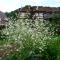 Alsace Village
