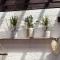 Apartmany Rabi