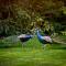 Silverstream Lodge