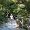 Camping Village Mare Pineta