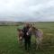 The Buteland Stop Rosie off grid Shepherds Hut - 贝灵汉姆