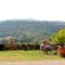 Tenuta di Spannocchia