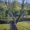 Quinta da Eira do Sol