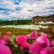 Blackstone Country Villages Hotel