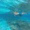 Holiday Haven Ukulhas