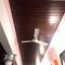Marari Babu Homestay