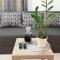 Apartment Smodlaka
