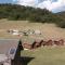 Eco Village Goles