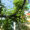 Gia Thanh Phu Quoc Guest House