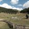 Eco Village Goles