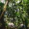 Hotel Faith Glamping Dome Costa Rica