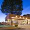 Best Western Pony Soldier Inn & Suites - Flagstaff