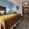 Best Western Plus Lonestar Inn & Suites