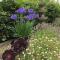 One Slade Gardens