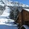 Chalet des Neiges Oz en Oisans