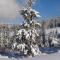 Chalet Sunneschyn