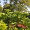 Home Farm Bed and Breakfast