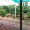 Ba Linh Homestay