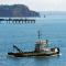 The Ness - Teignmouth