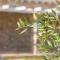Olive Land Villas - Limenaria