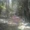 Les Portes des Froises photo 20