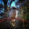 Ellimata Holiday Cottage