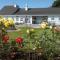 Villa Pio Accommodation Cong