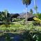 Royal Tahitien