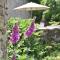 Lovely mansion with fenced garden - Baguer-Morvan