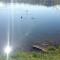 Camping La Motte Flottante - 拉弗莱西诺斯