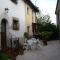B&B Myosotis