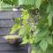 Hoeve Altena Guesthouse