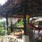 Villa Paradise - Bukit Lawang