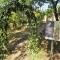 Camping Slovenia Istria Foto: Camping Slovenia Istria