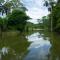 La Laguna del Lagarto Eco-Lodge - Pital