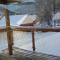 Panorama-Chalet Alpenglöckchen - Stadl an der Mur