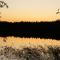 Vimmerby Stugby
