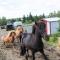 Klaras Farm Holidays