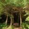 Forest House exclusive