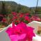 Villa Catherine